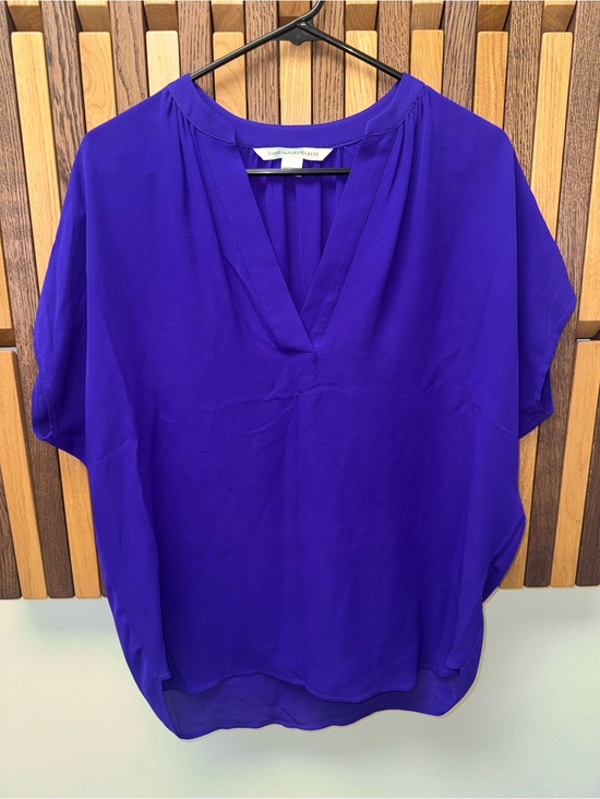 Diane Von Furstenberg Tops - Diane Von Furstenberg 100% Silk Purple/Blue Popover Blouse, size 4
